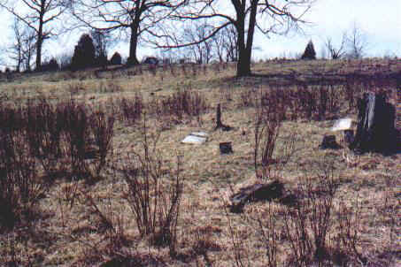 Overall view of Springer Cemetery